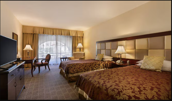 Deluxe Garden View Room.png